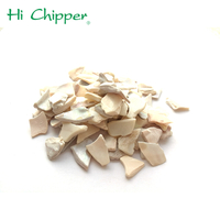 //imrorwxhkkpplo5p-static.micyjz.com/cloud/pjBpkKrnljSRmlmmllqpim/news_main_image_Crushed-Sea-Shell.jpg
